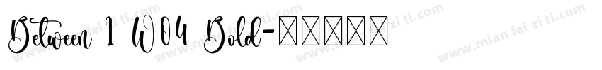 Between 1 W04 Bold字体转换
